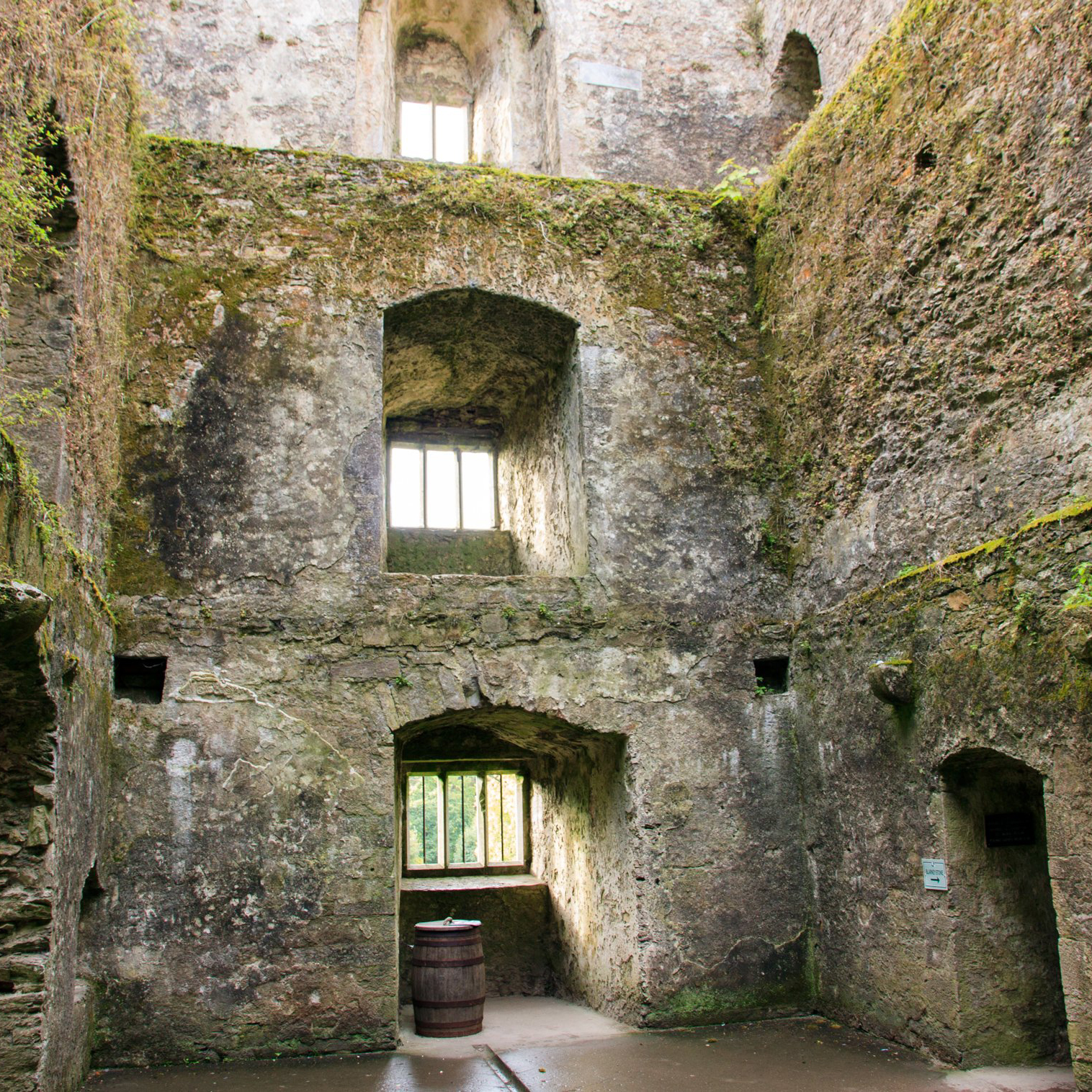 Blarney Castle Cork