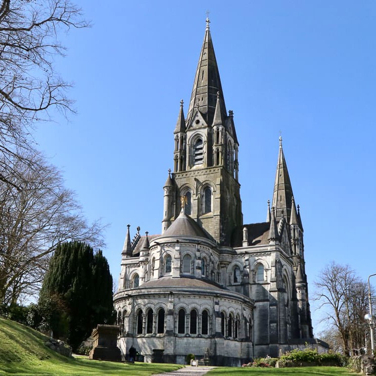 Catedral San Finbar Cork