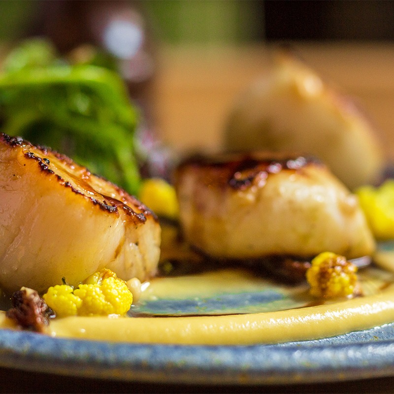 Bloom Brasserie