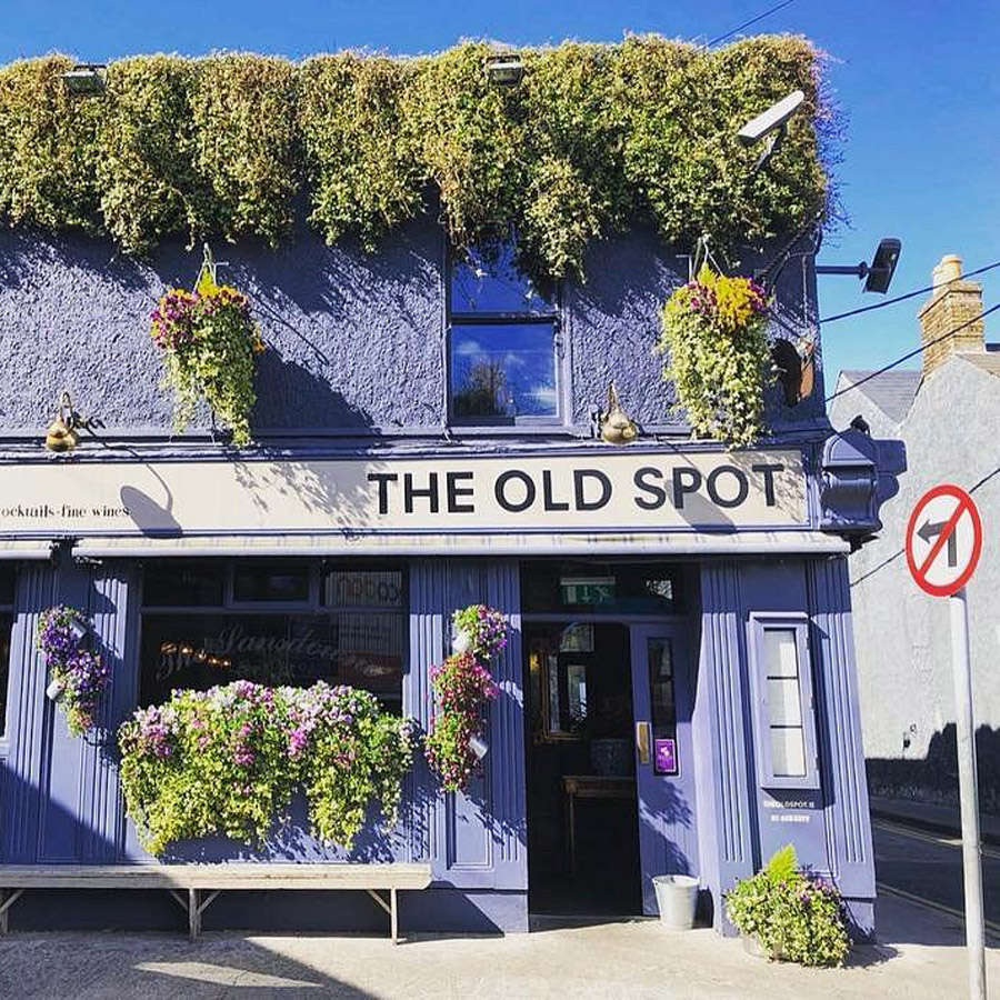 The Old Spot Dublin