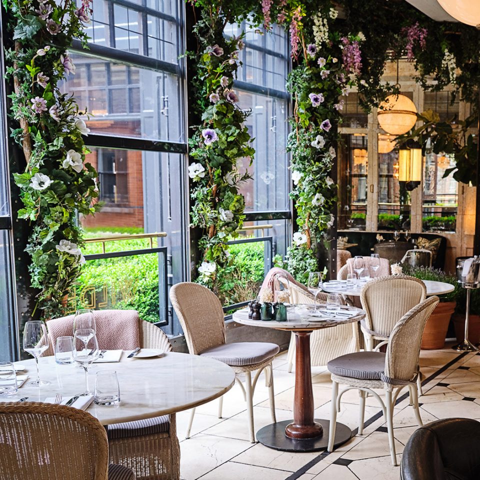 Salon Wilde Restaurant