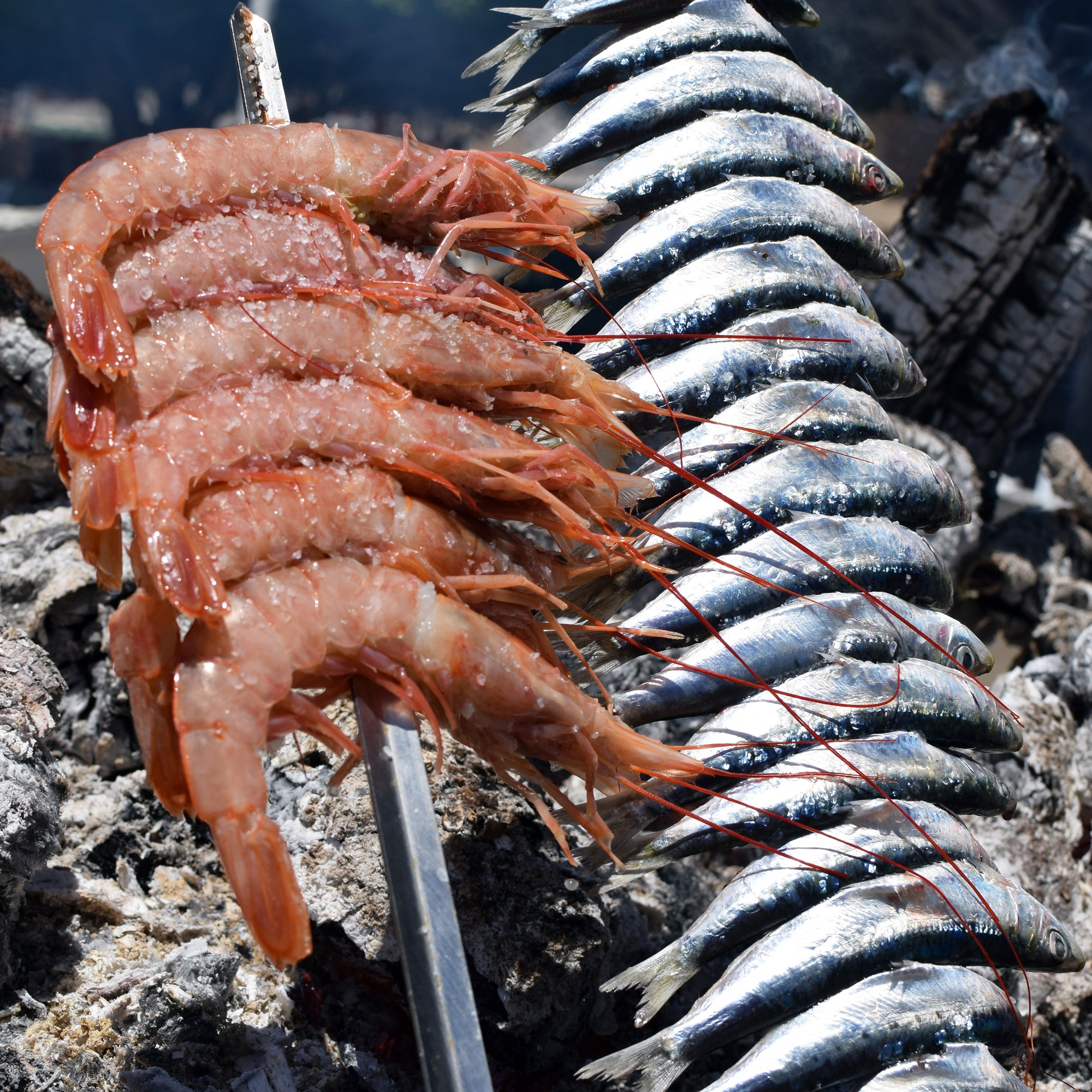 Espetos de Sardinas Málaga