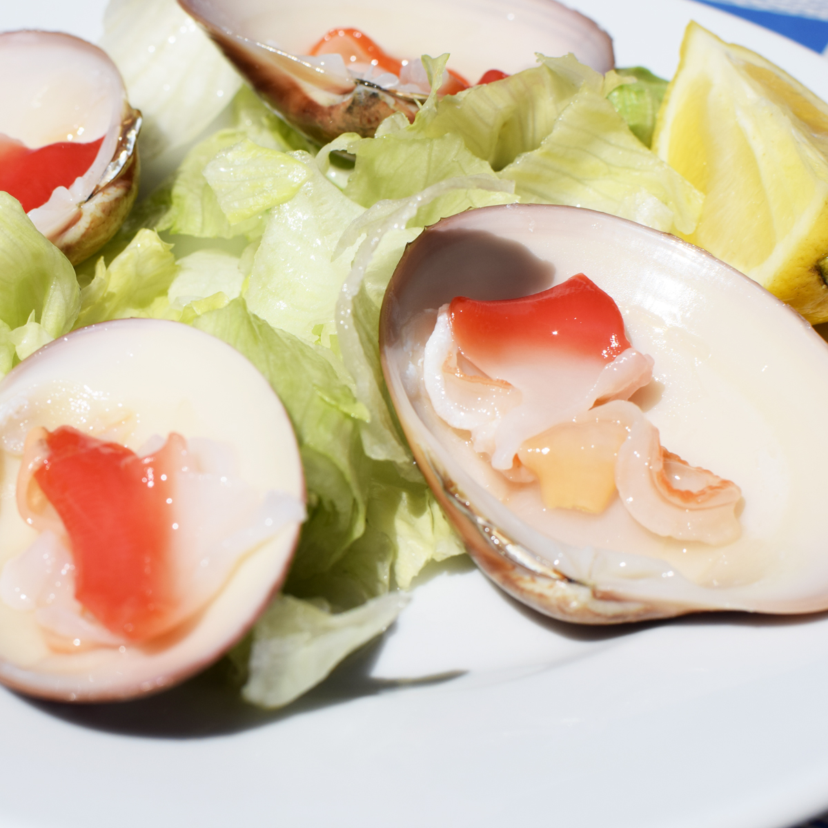 Narval Playa Malaga Conchas Finas