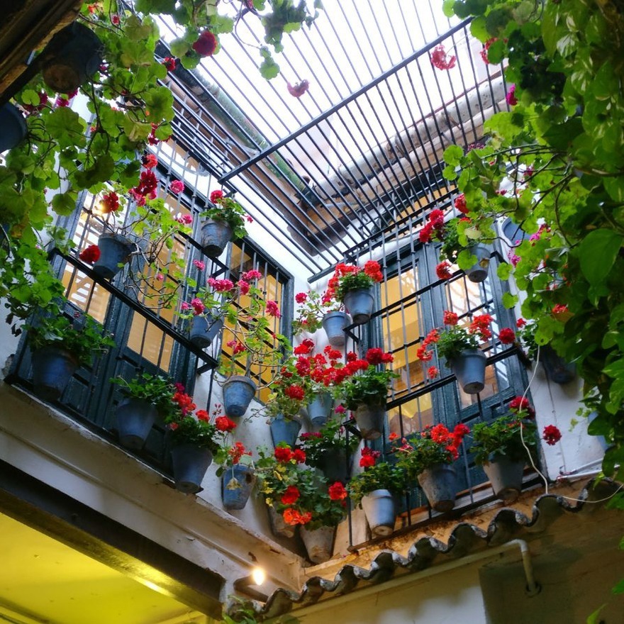 Patio El Pimpi Malaga